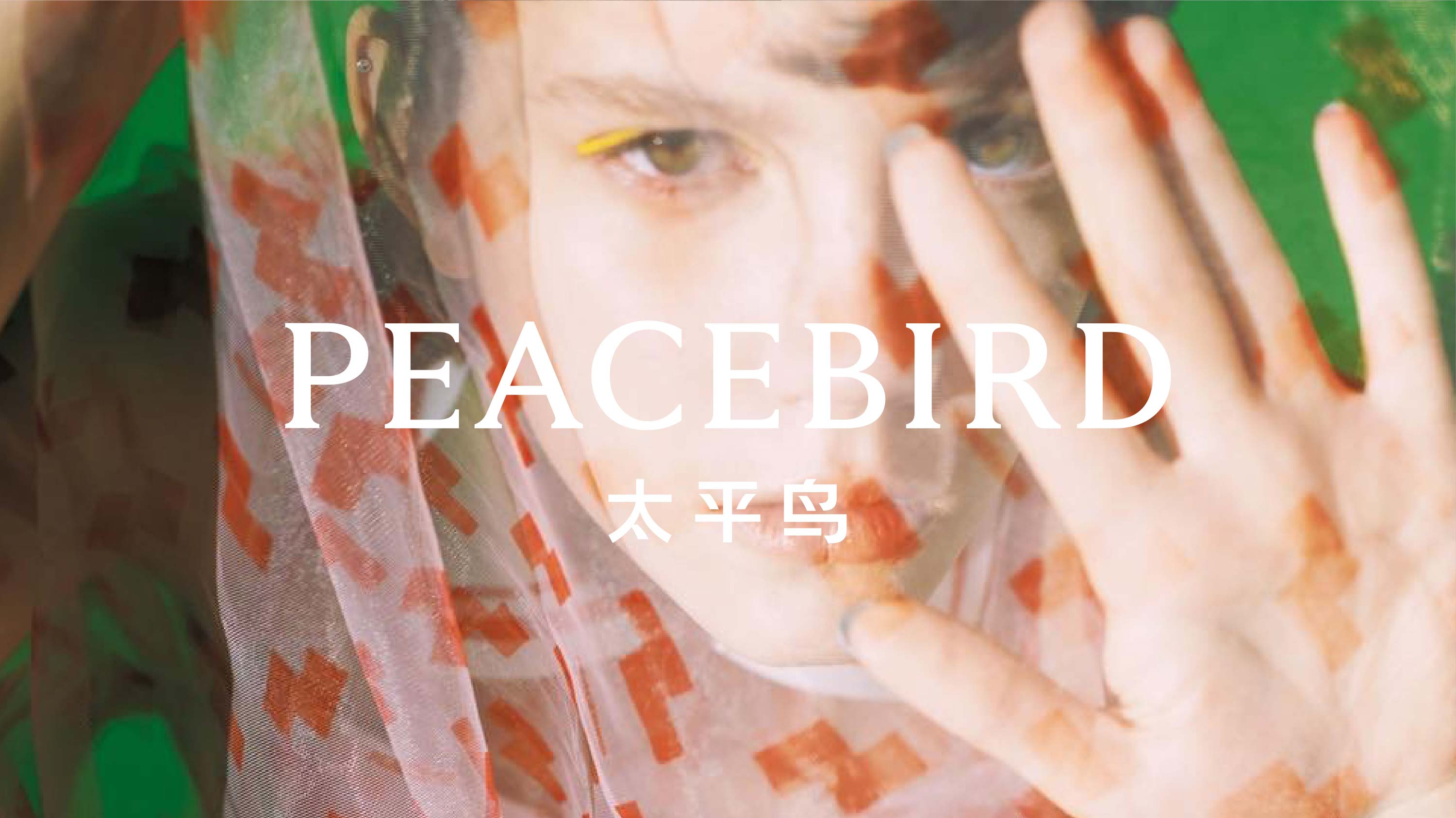 PEACEBIRD LOGO 太平鸟品牌标识 · NORA ZHAO 赵子娴